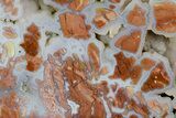 Polished Wyoming Youngite Agate/Jasper Section - Fluorescent #184769-2